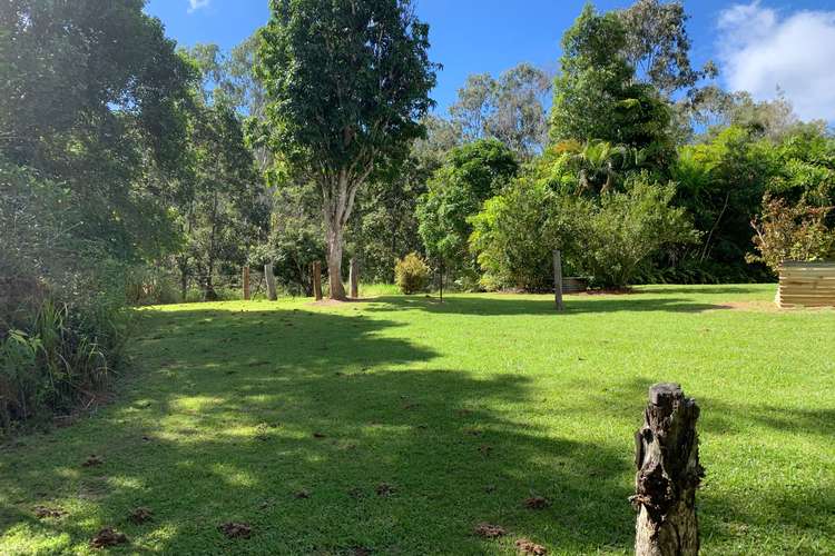 4163 Black Mountain Road, Julatten QLD 4871