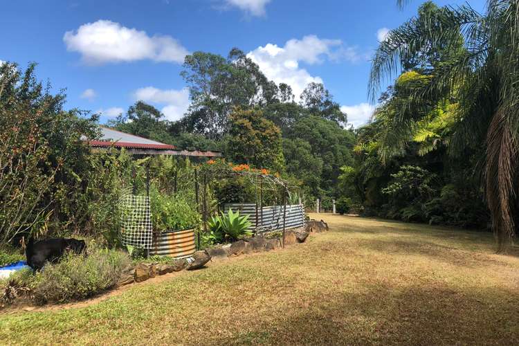 Second view of Homely house listing, 4163 Black Mountain Road, Julatten QLD 4871