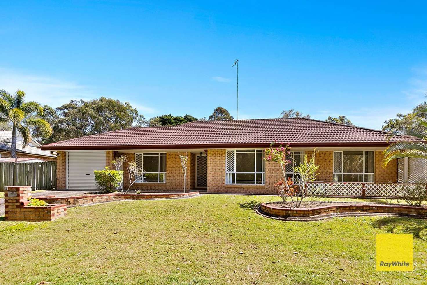 Main view of Homely house listing, 14 St Lukes Street, Capalaba QLD 4157