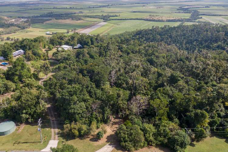 Sixth view of Homely residentialLand listing, Lot 198 Camille Drive, Strathdickie QLD 4800