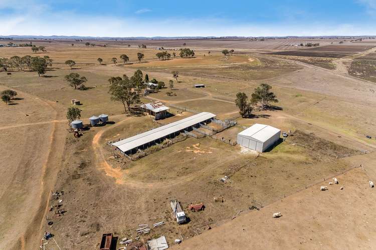 Second view of Homely ruralOther listing, 594 Talgai West Road, Allora QLD 4362