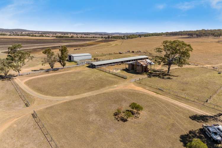 Fifth view of Homely ruralOther listing, 594 Talgai West Road, Allora QLD 4362
