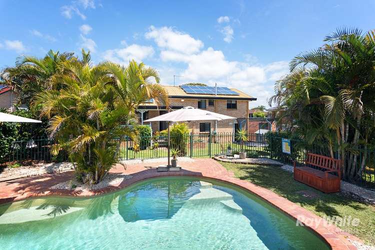 Main view of Homely house listing, 48 Bluebell Street, Alexandra Hills QLD 4161