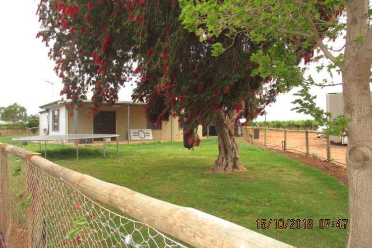 Main view of Homely house listing, 72 Coates Road, Barmera SA 5345