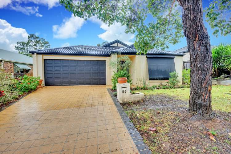 56 Kondalilla Parade, Forest Lake QLD 4078