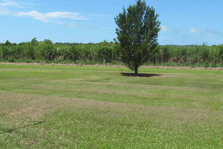 Fifth view of Homely house listing, 215 Mourilyan Road, Innisfail QLD 4860