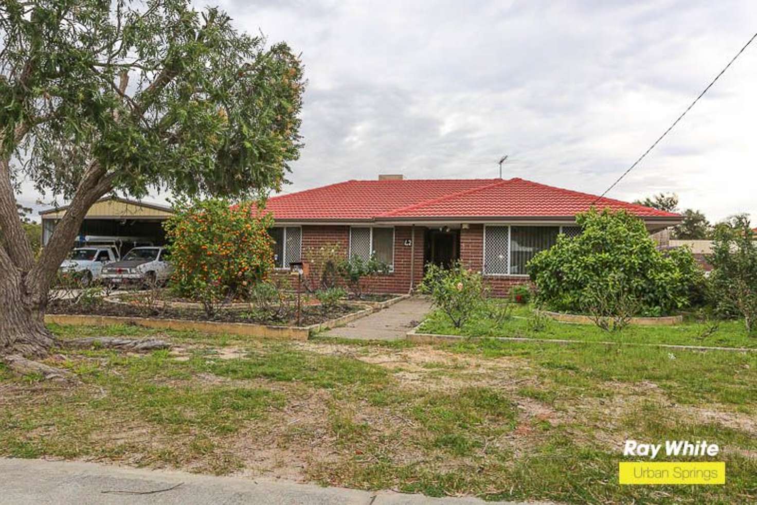 Main view of Homely house listing, 42 Stringybark Drive, Forrestfield WA 6058
