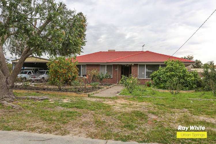 Main view of Homely house listing, 42 Stringybark Drive, Forrestfield WA 6058