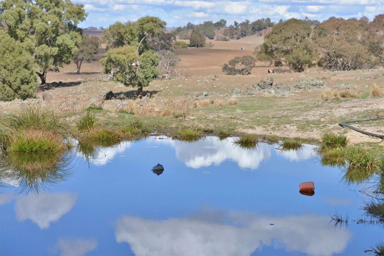 Main view of Homely mixedFarming listing, 'LUMEAH' CENN CRUIACH, Coonabarabran NSW 2357