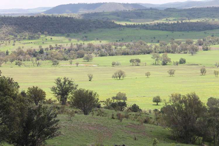 Fourth view of Homely ruralOther listing, 304 Sunnyvale Road, Bunya Mountains QLD 4405