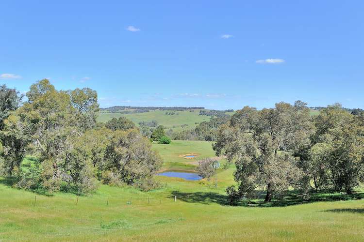 Seventh view of Homely house listing, 20 Fraser Road, Bullsbrook WA 6084