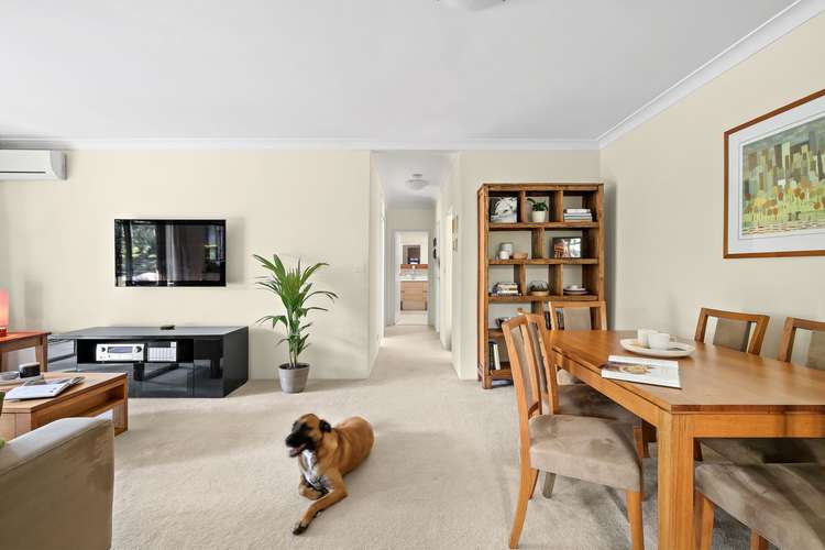 Third view of Homely apartment listing, 20/213-221 Bridge Road, Glebe NSW 2037