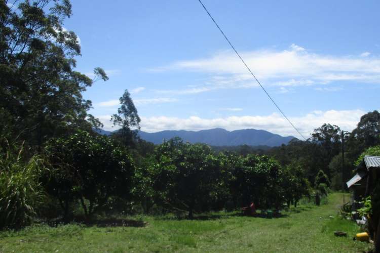 Fourth view of Homely ruralOther listing, 139 Hennesseys Lane, Bellingen NSW 2454