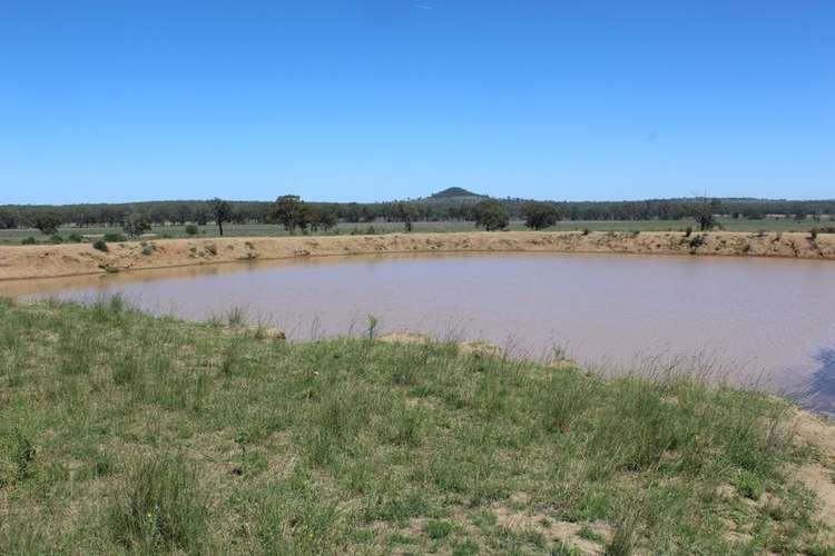 Fifth view of Homely ruralOther listing, " Berrigal Farm", Bellata NSW 2397