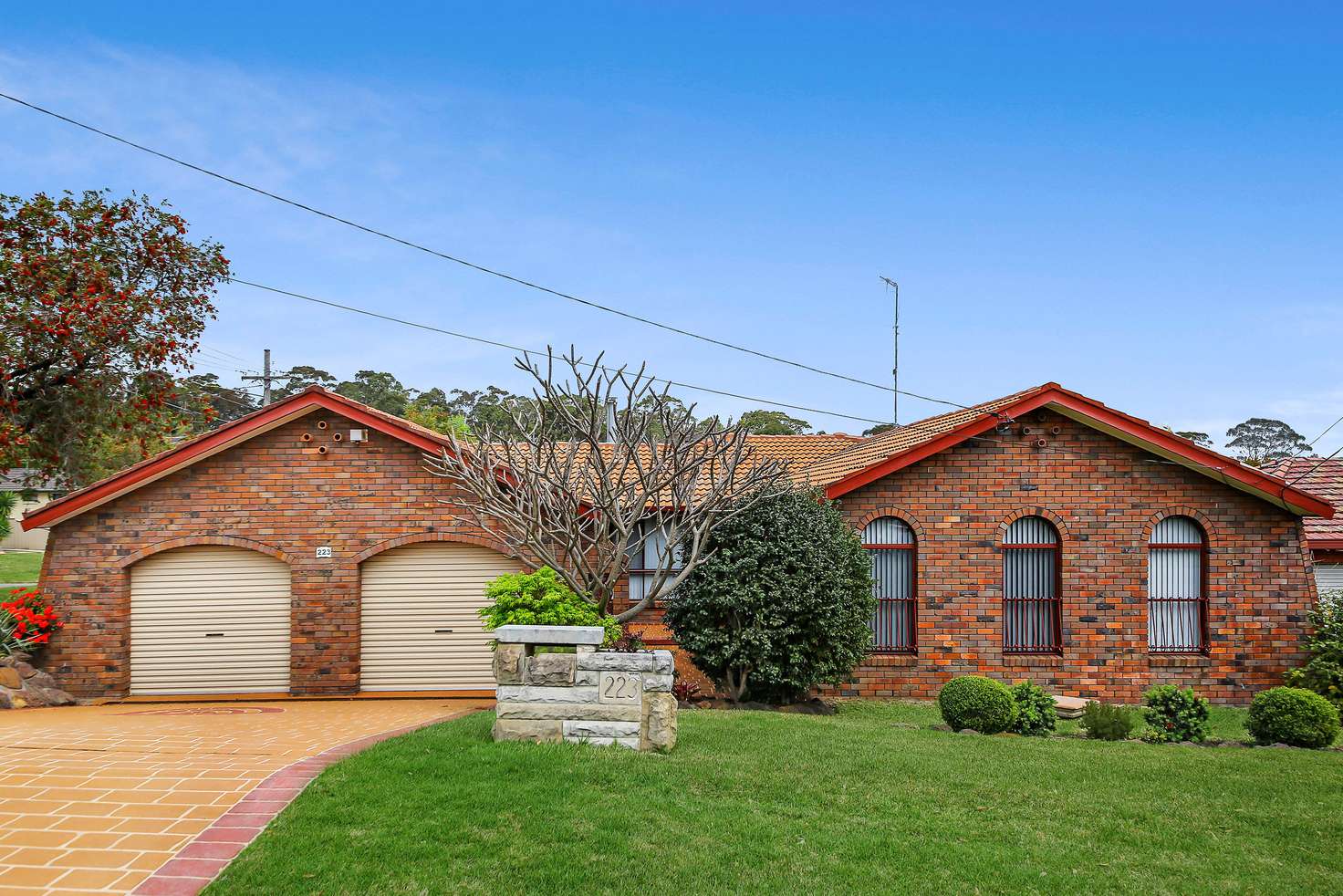 Main view of Homely house listing, 223 Johnston Road, Bass Hill NSW 2197