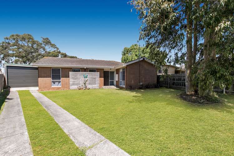 Main view of Homely house listing, 17 Junee Court, Hastings VIC 3915