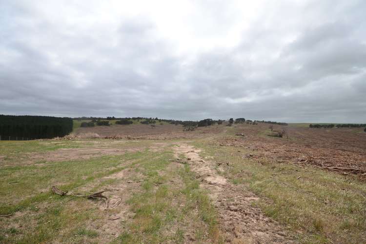 Fourth view of Homely ruralOther listing, Lot 1 "Curlewis" Ellis Road, Beaufort VIC 3373