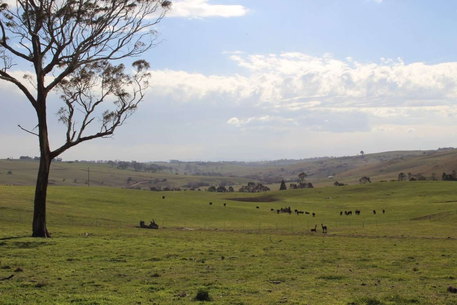 Main view of Homely residentialLand listing, Lot 207 Browns Creek Road, Blayney NSW 2799