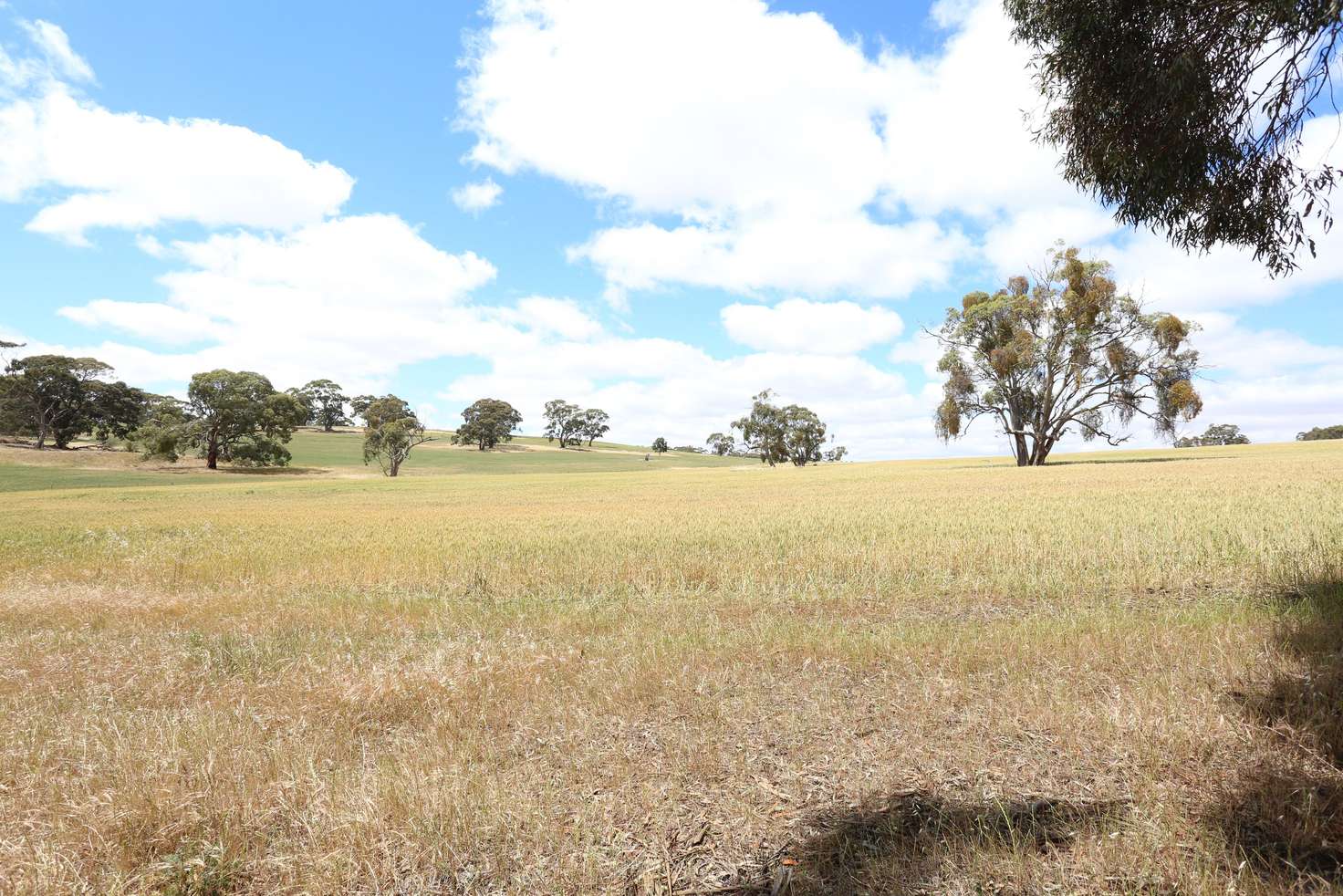 Main view of Homely residentialLand listing, Lot 5 Koorama Road, Clare SA 5453