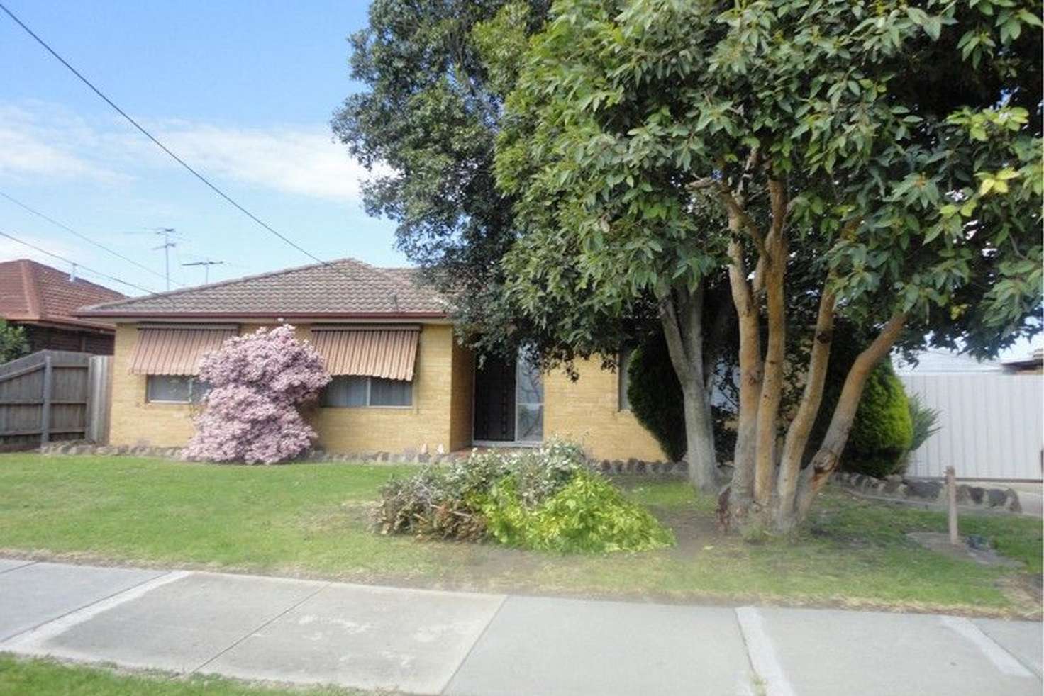Main view of Homely house listing, 43 Pinetree Crescent, Lalor VIC 3075