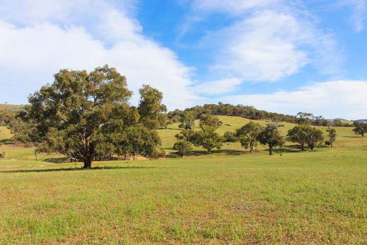 Third view of Homely ruralOther listing, 2529 Sofala Road, Bathurst NSW 2795