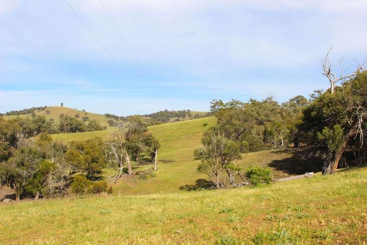 Sixth view of Homely ruralOther listing, 2529 Sofala Road, Bathurst NSW 2795