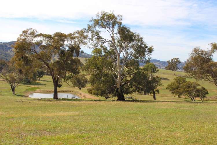 Seventh view of Homely ruralOther listing, 2529 Sofala Road, Bathurst NSW 2795