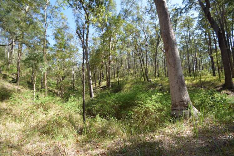 Fifth view of Homely ruralOther listing, 282 Whipbird Drive, Buaraba QLD 4311