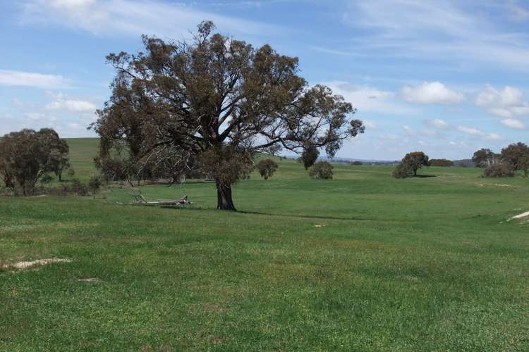 Fifth view of Homely ruralOther listing, 1781 Mitchell Highway, Bathurst NSW 2795