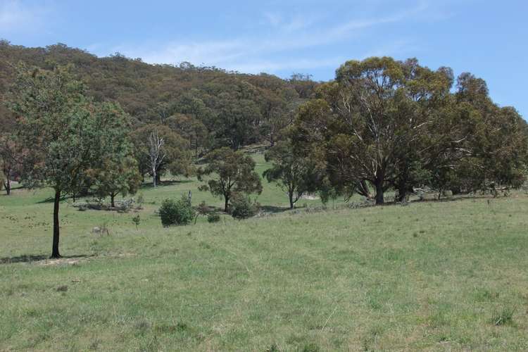 Seventh view of Homely ruralOther listing, 1781 Mitchell Highway, Bathurst NSW 2795