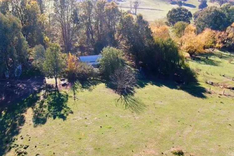 Main view of Homely ruralOther listing, 736 Woomargama Way, Woomargama NSW 2644