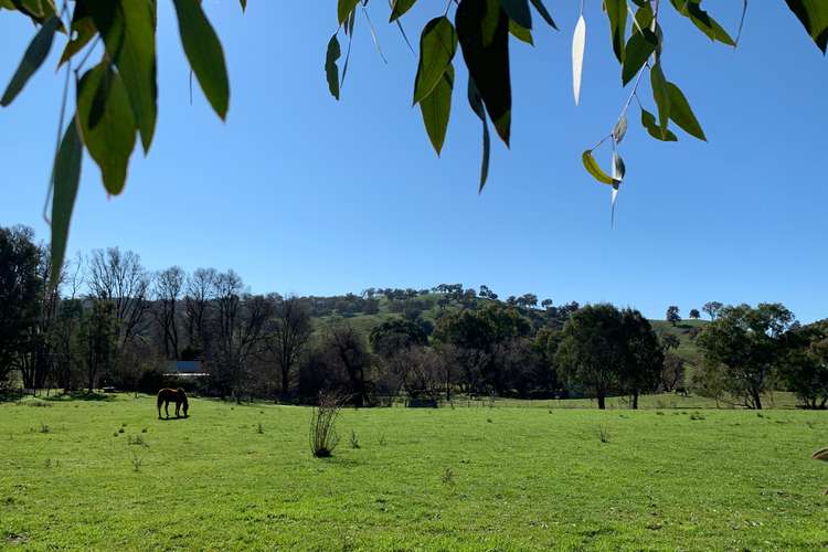 Seventh view of Homely ruralOther listing, 736 Woomargama Way, Woomargama NSW 2644