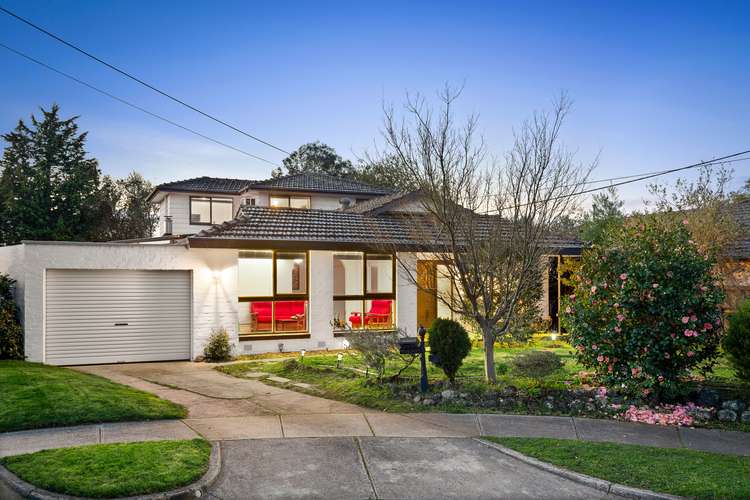 Main view of Homely house listing, 11 Paranda Court, Vermont VIC 3133