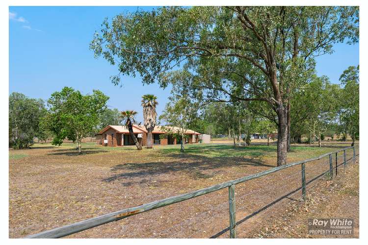 Third view of Homely house listing, 14 Beak Street, Gracemere QLD 4702