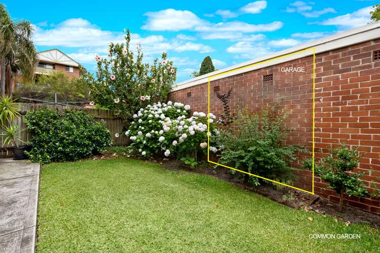 Sixth view of Homely apartment listing, 1/133 Willoughby Road, Naremburn NSW 2065
