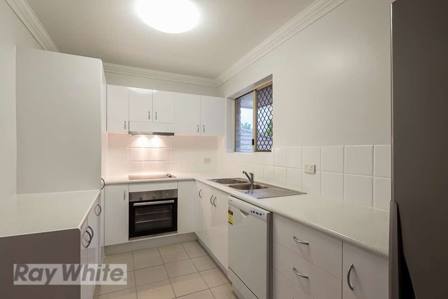 Main view of Homely unit listing, 2/41 Rialto Street, Coorparoo QLD 4151