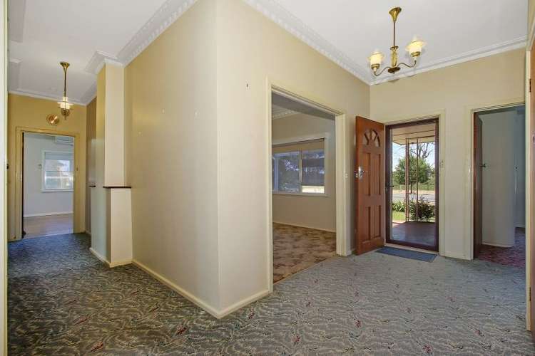 Third view of Homely house listing, 113 Commercial Street, Walla Walla NSW 2659