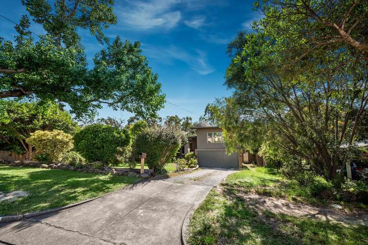 Third view of Homely house listing, 19 Ireland Street, Ringwood VIC 3134