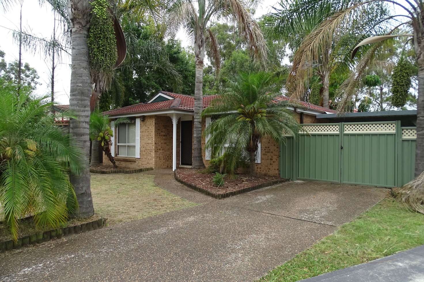 Main view of Homely house listing, 52 Harradine Crescent, Bligh Park NSW 2756