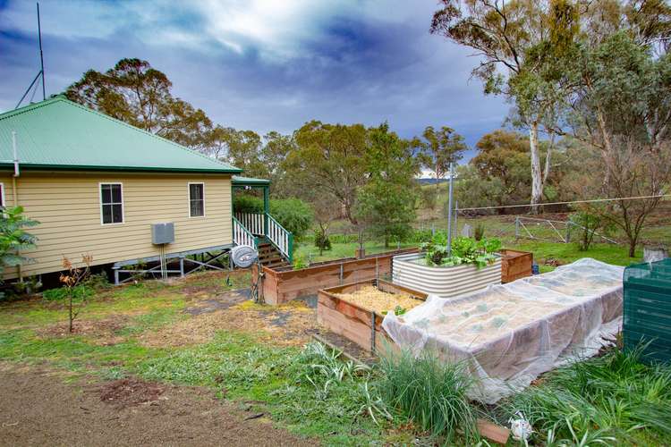 Fourth view of Homely acreageSemiRural listing, 79 Common Road, Bowning NSW 2582