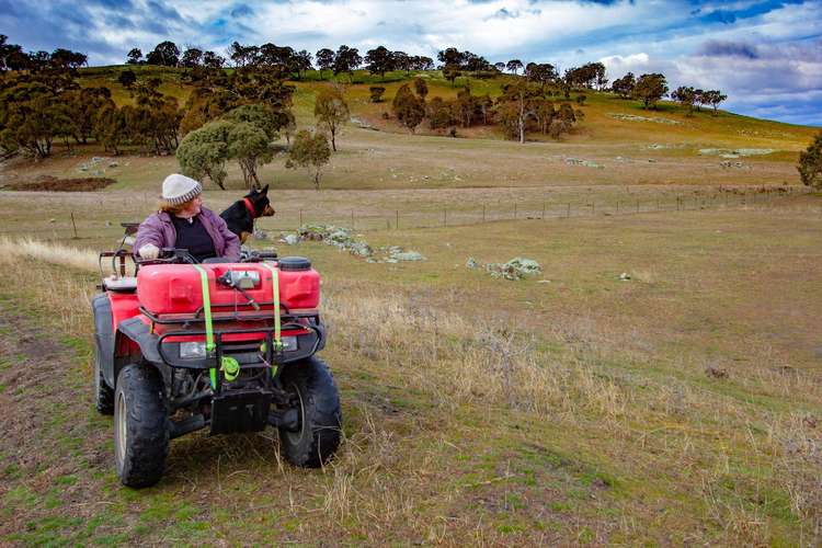 Seventh view of Homely acreageSemiRural listing, 79 Common Road, Bowning NSW 2582