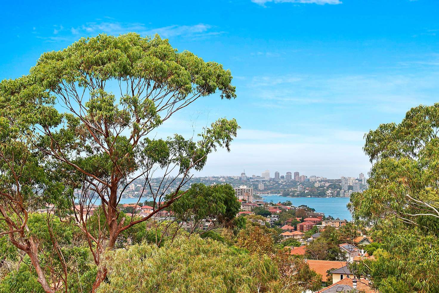 Main view of Homely apartment listing, 16/94a Spofforth Street, Cremorne NSW 2090