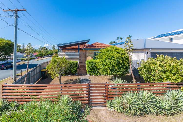 Main view of Homely house listing, 36 Griffith Road, Scarborough QLD 4020