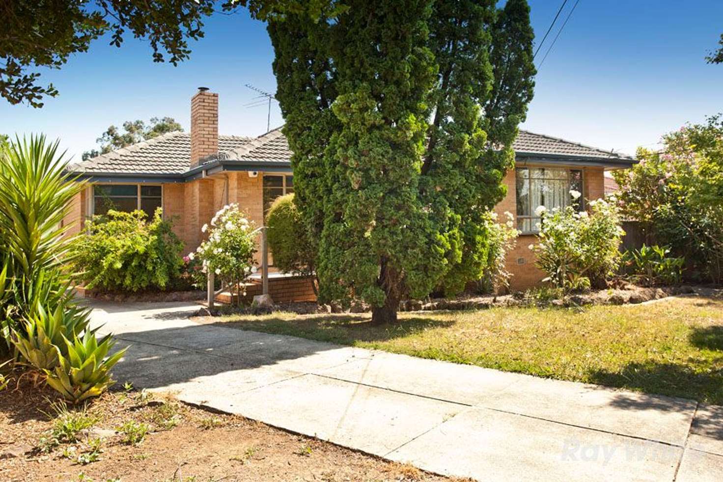 Main view of Homely house listing, 556 Mountain Highway, Bayswater VIC 3153