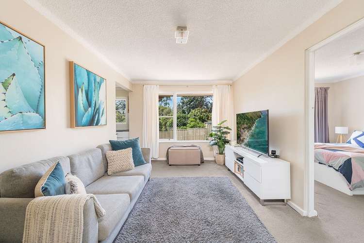 Main view of Homely apartment listing, 39/76-80 Garnet Street, Hurlstone Park NSW 2193