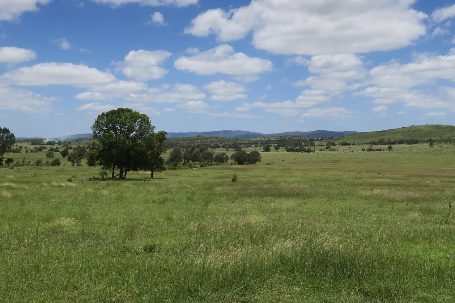Main view of Homely rural property listing, 338 MOSES Road, Morinish QLD 4702