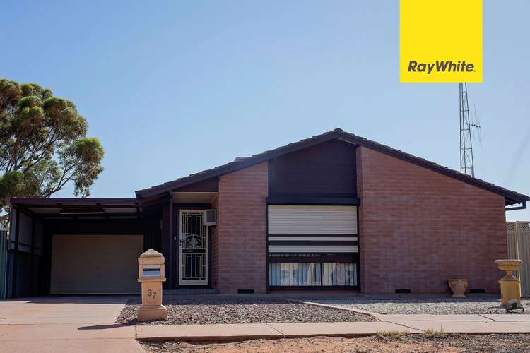 Main view of Homely house listing, 37 Risby Avenue, Whyalla Jenkins SA 5609