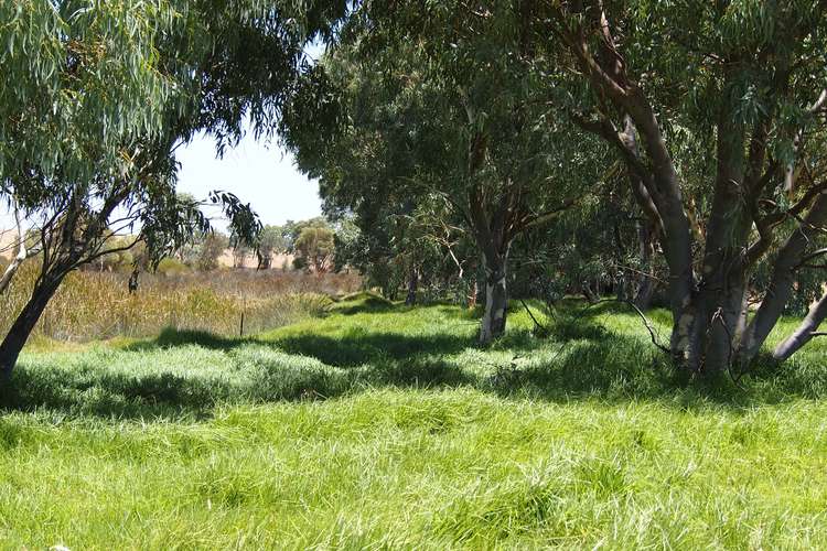 Seventh view of Homely ruralOther listing, 500 Dalwallinu West Road, Dalwallinu WA 6609