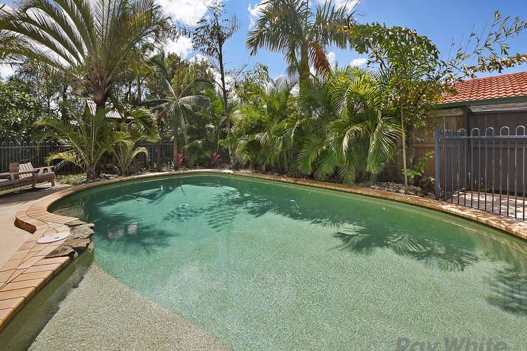 Main view of Homely house listing, 13 Mayfair Place, Boondall QLD 4034