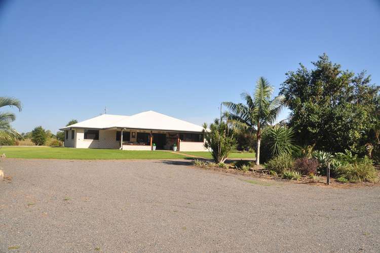 Third view of Homely ruralOther listing, 1203 Ridgelands Road, Alton Downs QLD 4702
